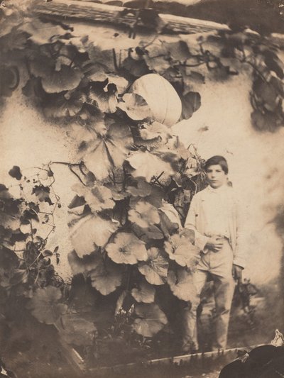 Balkabaklı Çocuk, 1854. by Varin Frères