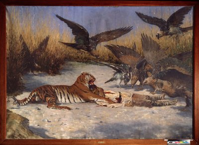 Bir Adam Yiyen - Boyama Vasili Vasilyevich Vereshchagin (Vassili Vereshchagin) (1842-1904), tuval üzerine yağlıboya, yaklaşık 1870-1880, Rus sanatı 19. yüzyıl - Bölgesel W Wereshchagin Sanat Müzesi, Mykolaiv (Ukrayna ) by Vasili Vasilievich Vereshchagin