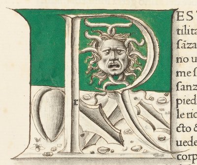Yaşlı Pliny