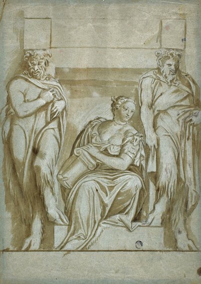 Metanet by Veronese