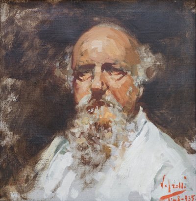  by Vicenzo Irolli