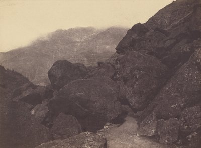  by Vicomte Joseph de Vigier