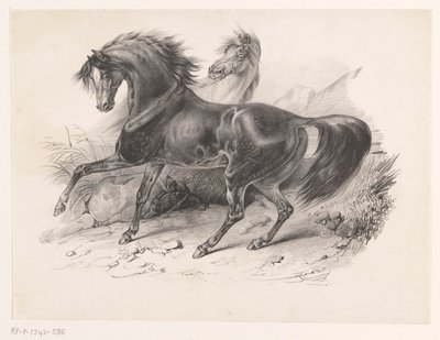 iki vahşi at by Victor Adam