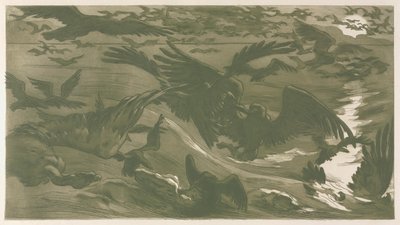 Yırtıcı Kuşlar, 1893. by Victor Emile Prouve