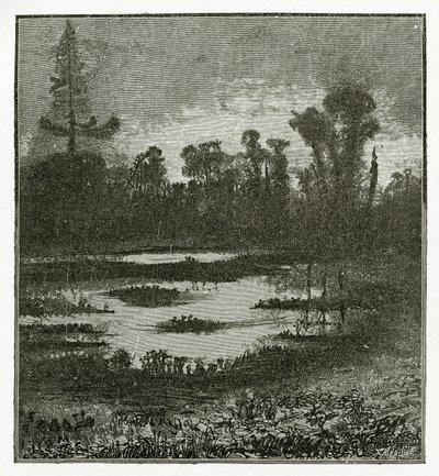 Les Chants du Crépuscule, 19. Yüzyıl (bw gravürü) by Victor Hugo