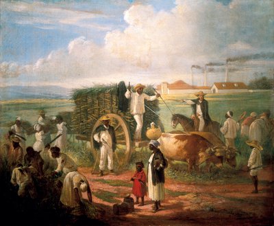 Kamış hasadı. Victor Patricio de Landaluze