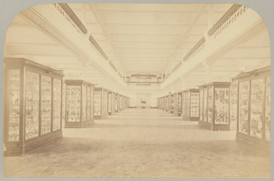 Pl. III. Ana Hikaye: Kuşlar by Victor Prevost, Gaston L. Feuardent and Co., New York