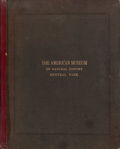 Amerikan Doğa Tarihi Müzesi