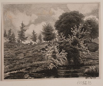 Bir bataklık tarafından tepeler by Vilhelm Kyhn