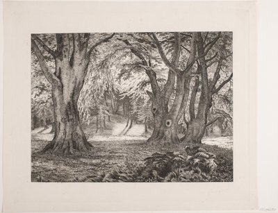 Bir ormanın içi by Vilhelm Kyhn