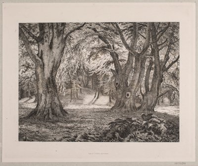 Bir ormanın içi by Vilhelm Kyhn