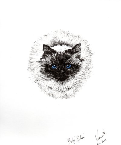 Bebek top, 2015, (kağıt üzerine mürekkep) by Vincent Alexander Booth