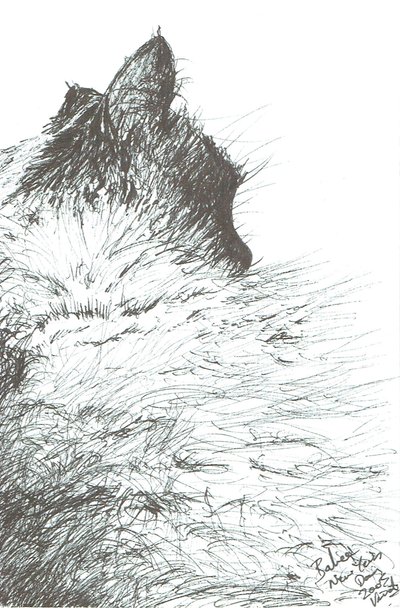 Bebek sıcak tutar Yeni Yıl, 2005 by Vincent Alexander Booth