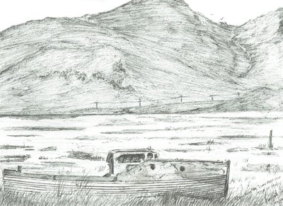 Karada tekne, Mull Adası, 2007 by Vincent Alexander Booth