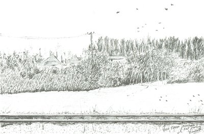platform 3
