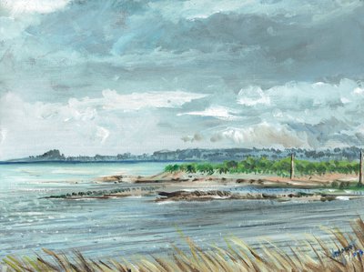 Iona İskoçya, 2007, (tuval üzerine akrilik) by Vincent Alexander Booth