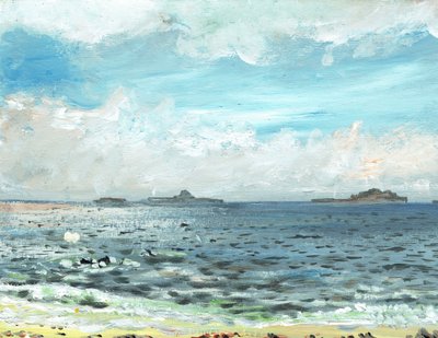 Iona plajı, 2007, (tuval üzerine akrilik) by Vincent Alexander Booth