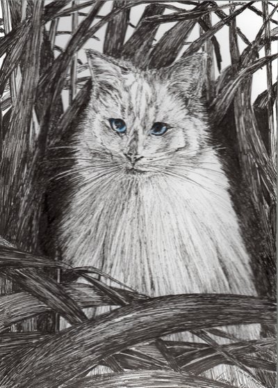 Jungle Monty, 2015, (kağıt üzerine mürekkep) by Vincent Alexander Booth