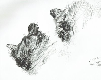 küçük çocuk by Vincent Alexander Booth