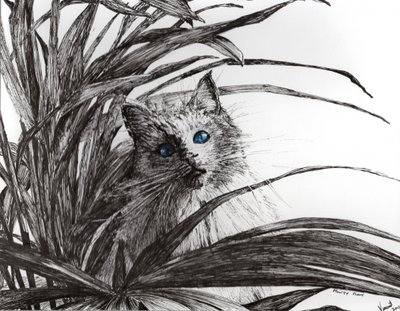 Monty bitkisi, 2015, (kağıt üzerine mürekkep) by Vincent Alexander Booth
