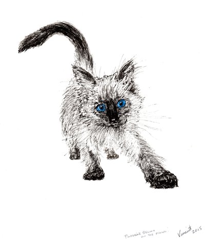 Sinsi sinsi !, 2015, (kağıt üzerine mürekkep) by Vincent Alexander Booth