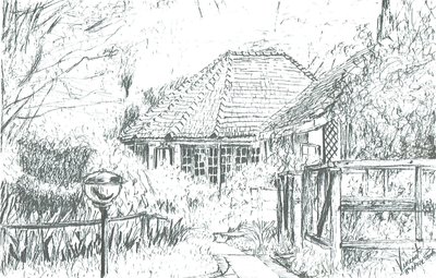 Oteldeki odalar, Naivasha Gölü, 2006 by Vincent Alexander Booth