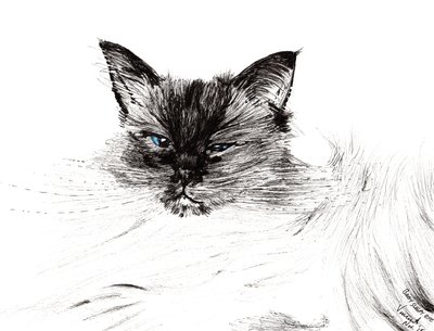 Uykulu göz, 2015, (kağıt üzerine mürekkep) by Vincent Alexander Booth