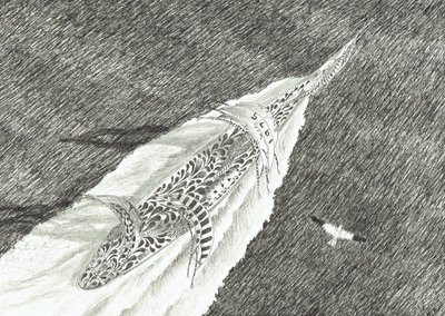 Storm Creators Cape Canaveral, 2022 by Vincent Alexander Booth
