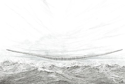 Fırtına Yaratıcıları Cape Leveque, 2023 by Vincent Alexander Booth