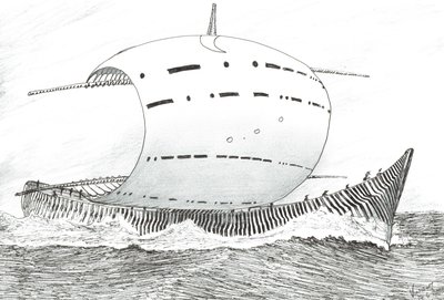 Fırtına Yaratıcıları Carpentaria, 2023 by Vincent Alexander Booth