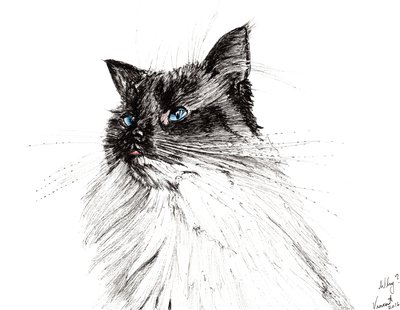 Niye ya? 2016, (kağıt üzerine mürekkep) by Vincent Alexander Booth