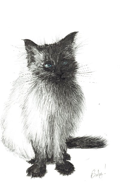 Küçük Bebek, 2004 by Vincent Alexander Booth