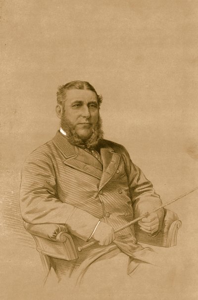 Bay TT Drake, 1879. by Vincent Brooks Day and Son