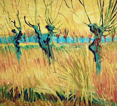 Gün batımında söğütler, 1888. by Vincent van Gogh