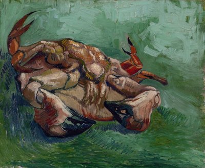 Sırtında Bir Yengeç par Gogh, Vincent, van (1853-1890). Tuval üzerine yağlı boya, ebat : 38x46,8 by Vincent van Gogh