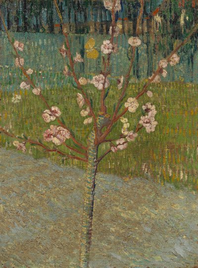  by Vincent van Gogh