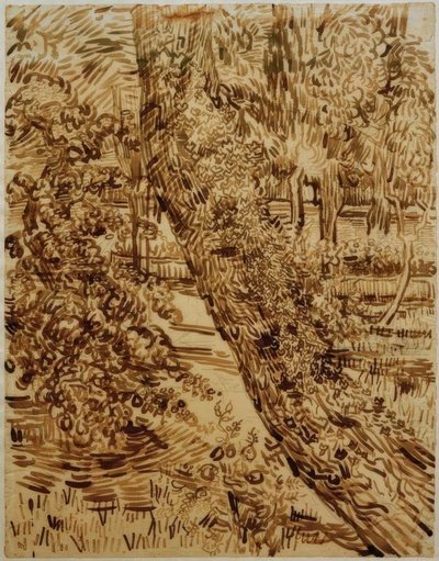 Sanatoryum bahçesinde sarmaşıklı ağaç by Vincent van Gogh