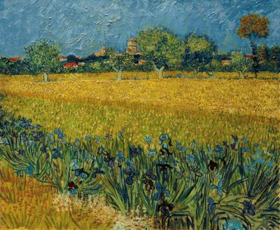 Ön planda iris çiçekleri olan Arles manzarası by Vincent van Gogh
