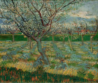 Kayısı ağaçları ile çiçek açan meyve bahçesi by Vincent van Gogh