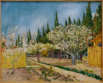 Selvi ağaçlarıyla çevrili çiçek açan meyve bahçesi by Vincent van Gogh