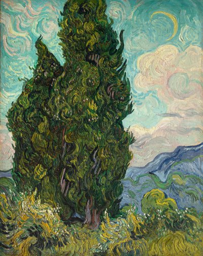 selvi by Vincent van Gogh