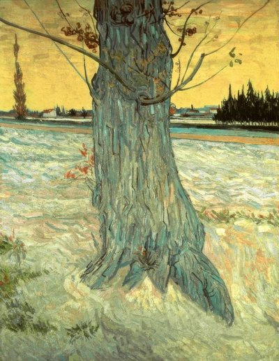 Ağaç by Vincent van Gogh