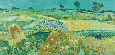 Auvers ovası by Vincent van Gogh