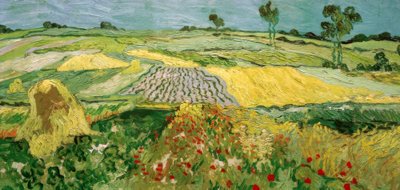 Auvers Ovası by Vincent van Gogh