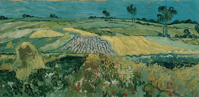 Auvers Ovası by Vincent van Gogh