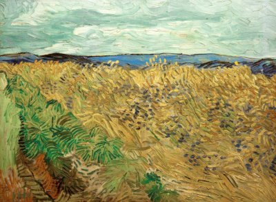Peygamber Çiçeği ile alan by Vincent van Gogh