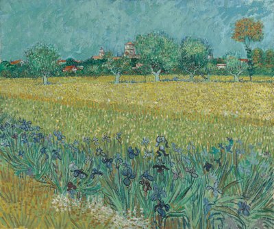 Arles yakınlarındaki çiçekli tarla by Vincent van Gogh