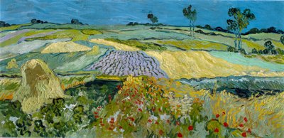 Auvers yakınındaki tarlalar by Vincent van Gogh