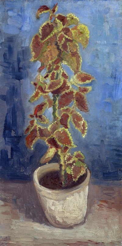 Bir Saksıda Alev Isırganı par Gogh, Vincent, van (1853-1890). Tuval üzerine yağlı boya, ebat : 42,1x21,9 by Vincent van Gogh