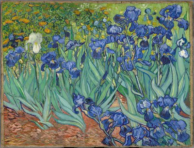 süsen by Vincent van Gogh